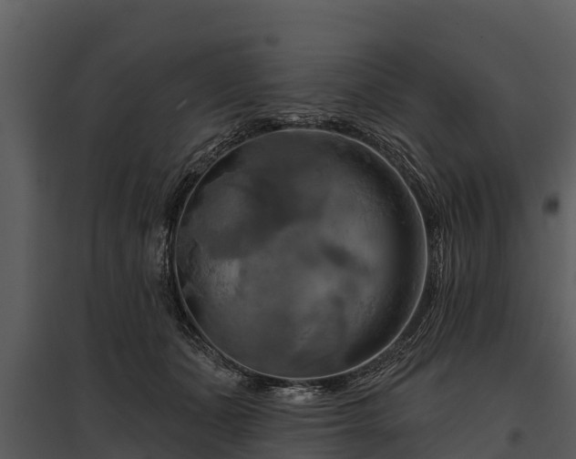 X0000095680511200801151129