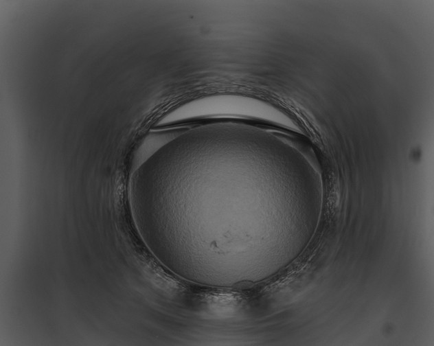 X0000095680513200801151129