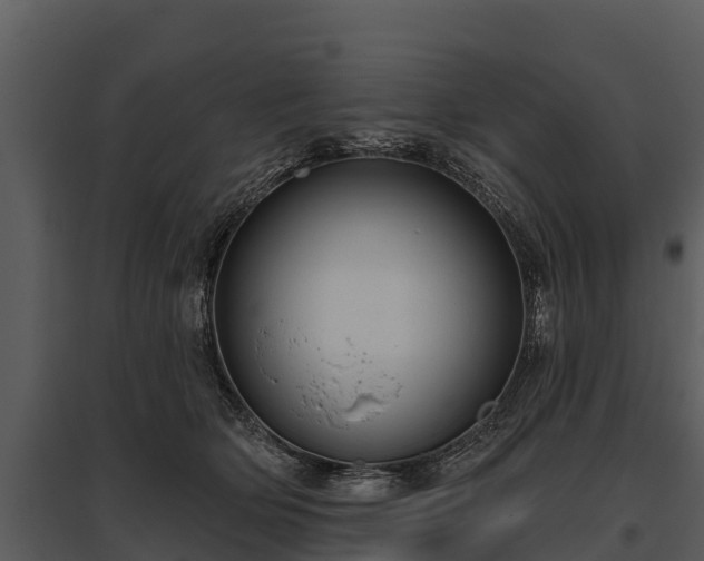 X0000095680514200801151129
