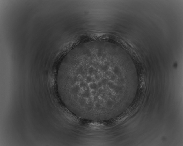X0000095680515200801151129
