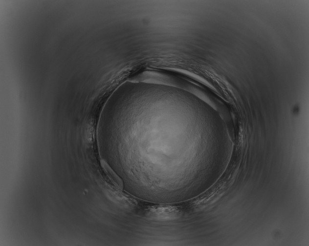 X0000095680517200801151128
