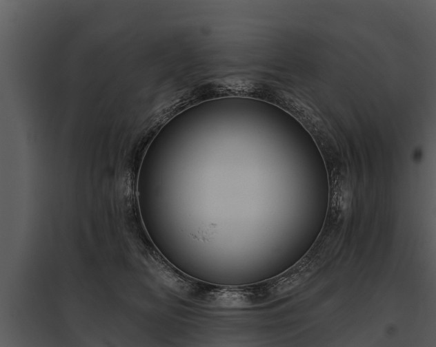 X0000095680518200801151128