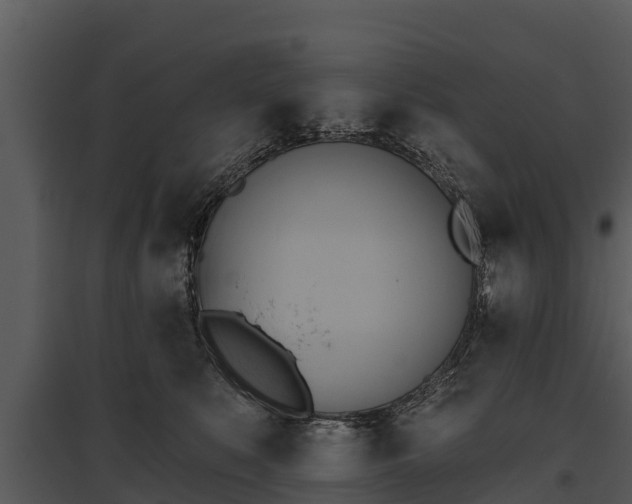 X0000095680519200801151128