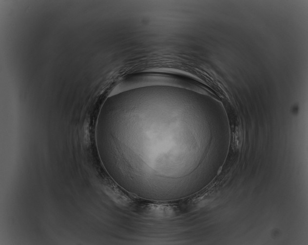 X0000095680520200801151128