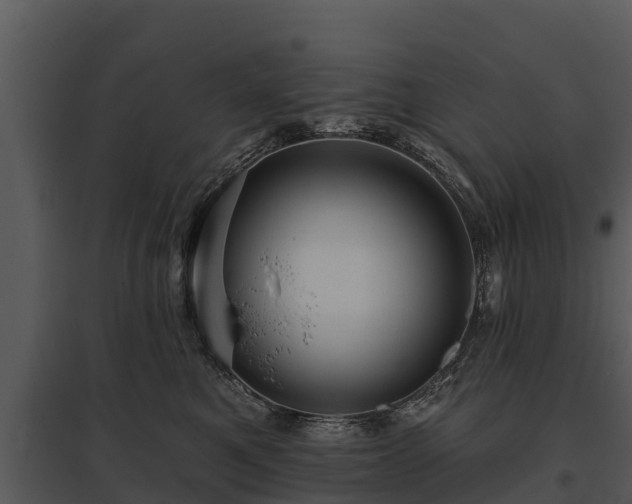 X0000095680521200801151128