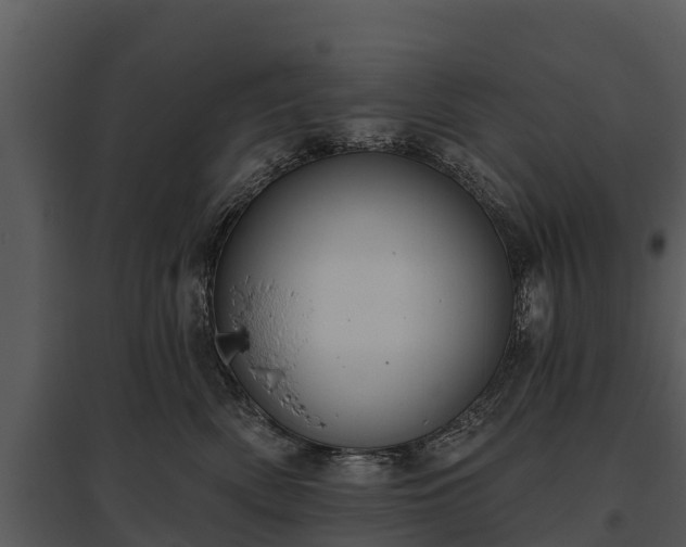 X0000095680522200801151128