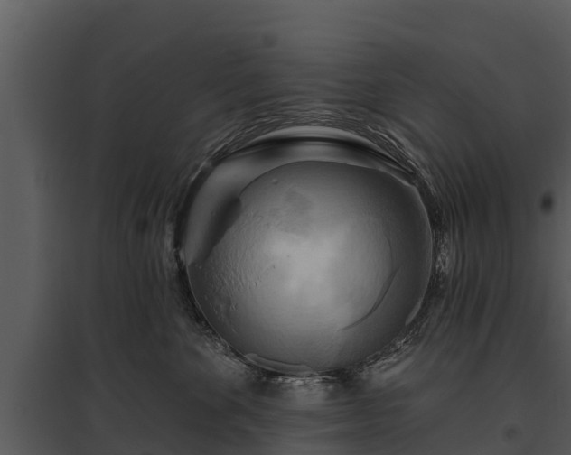 X0000095680524200801151128