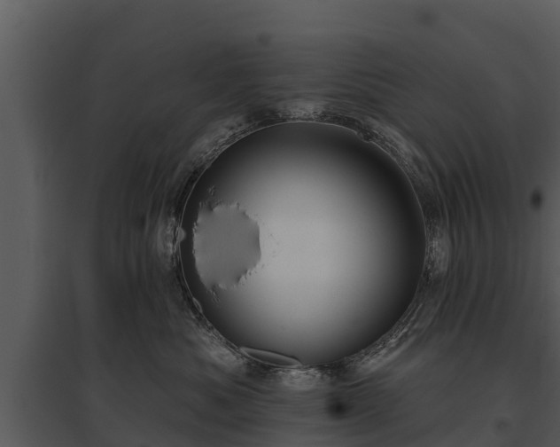 X0000095680525200801151128