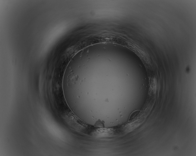 X0000095680526200801151128