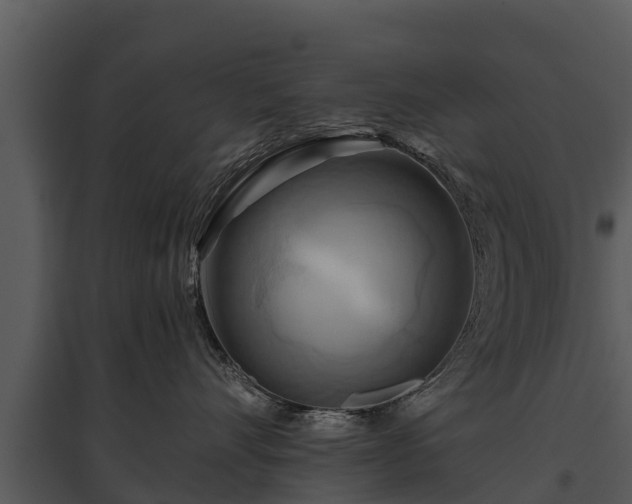 X0000095680528200801151128