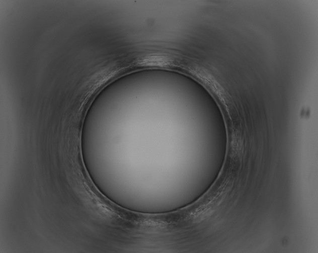 X0000095680529200801151127