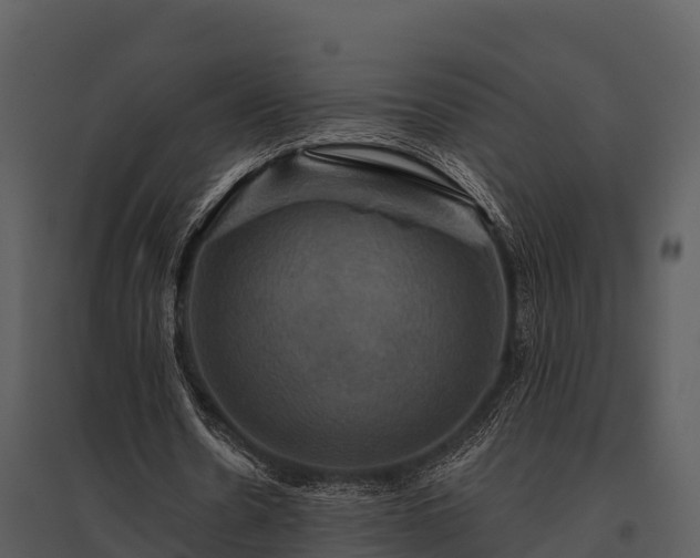 X0000095680530200801151128