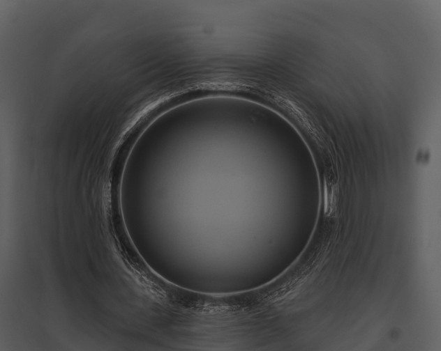 X0000095680531200801151128