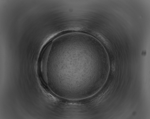 X0000095680532200801151128
