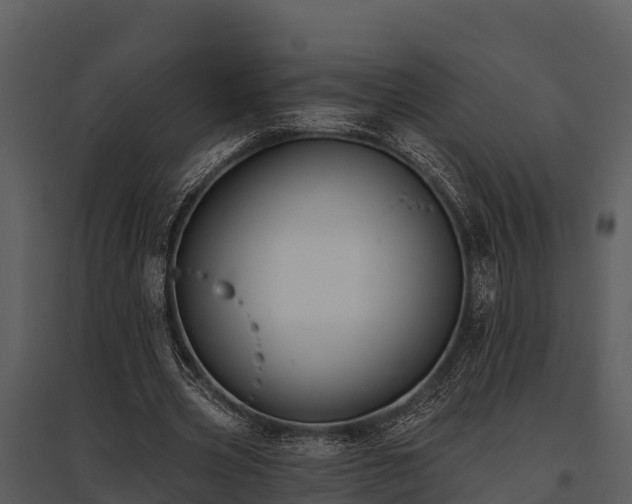 X0000095680533200801151128