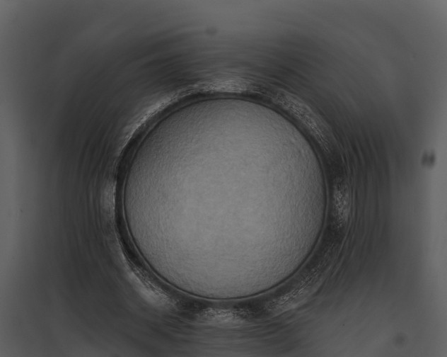 X0000095680534200801151128