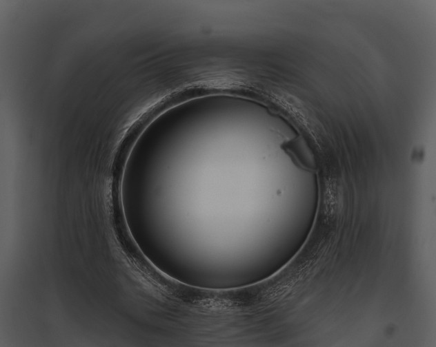 X0000095680535200801151128