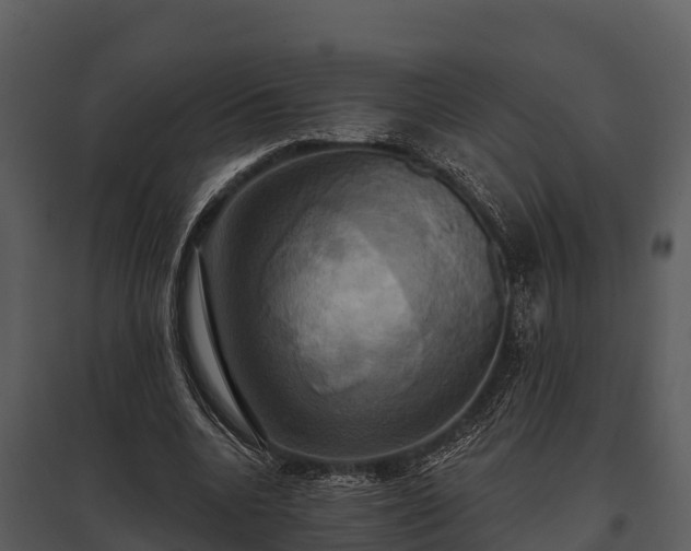 X0000095680536200801151128