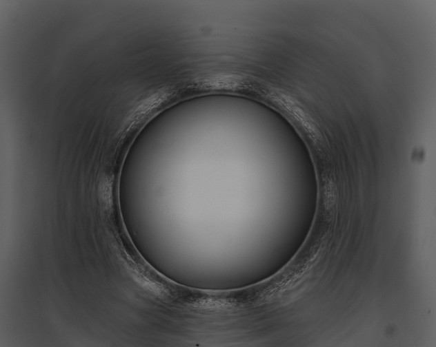 X0000095680537200801151128