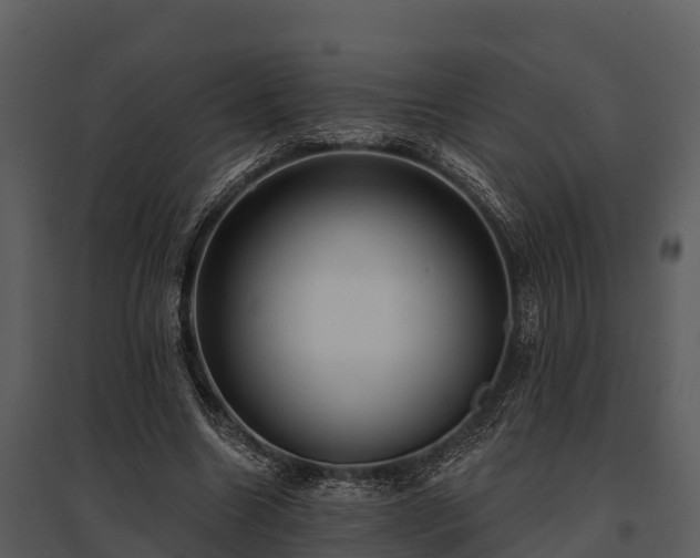 X0000095680538200801151128