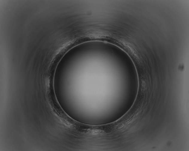 X0000095680539200801151128