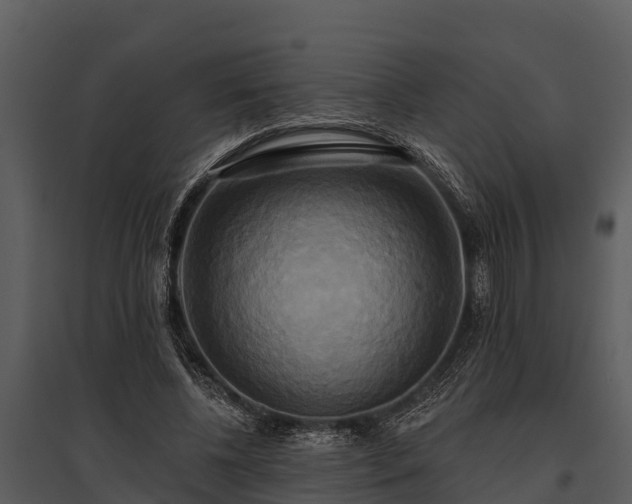 X0000095680540200801151128