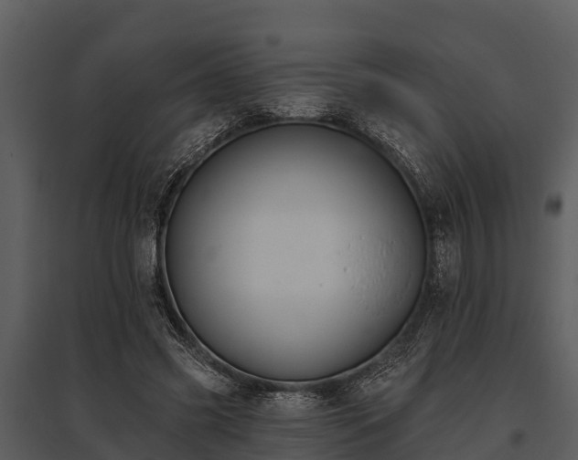 X0000095680541200801151128
