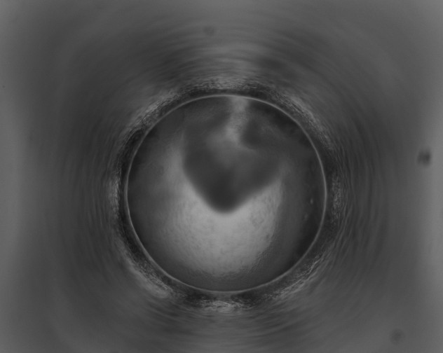 X0000095680542200801151128