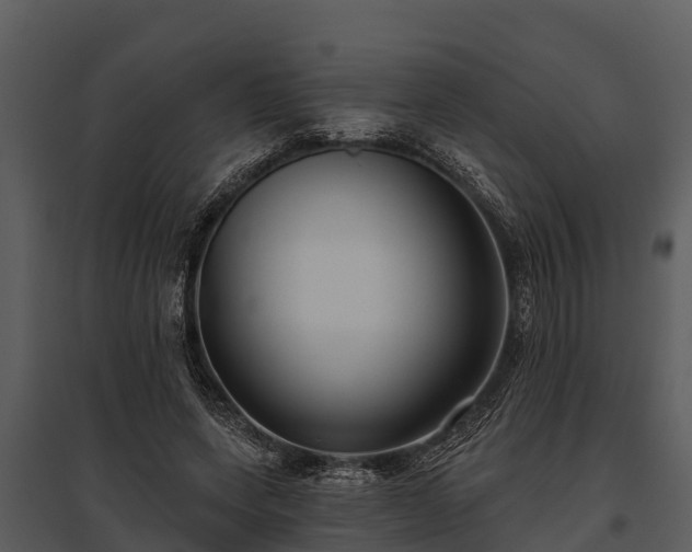 X0000095680543200801151128