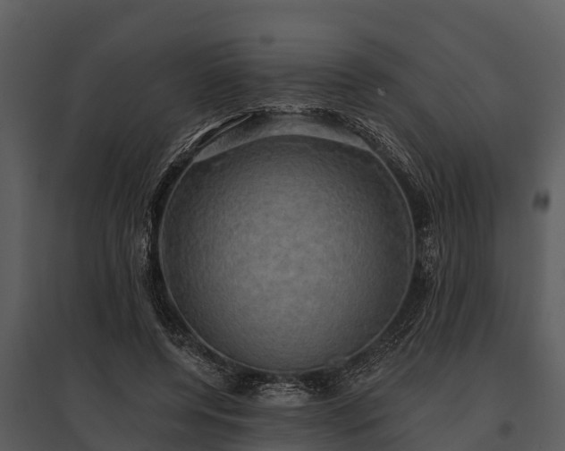 X0000095680544200801151128