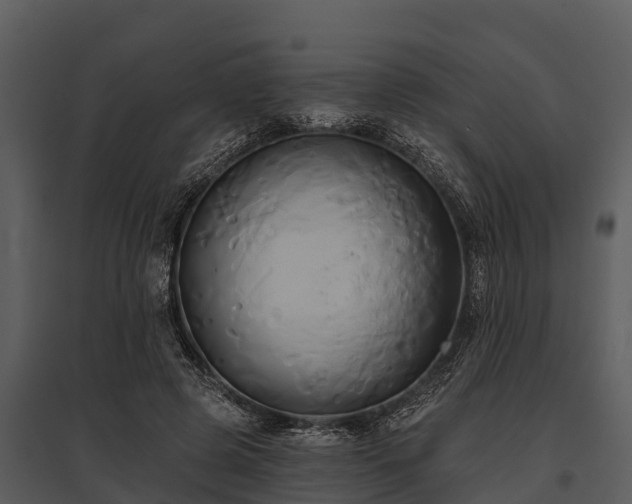 X0000095680545200801151128