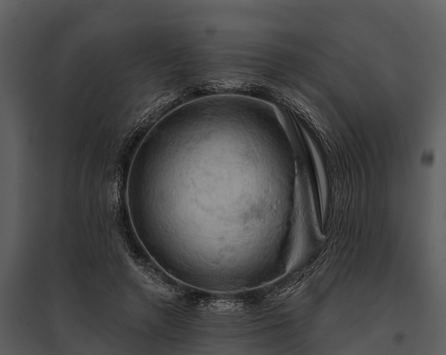 X0000095680546200801151128
