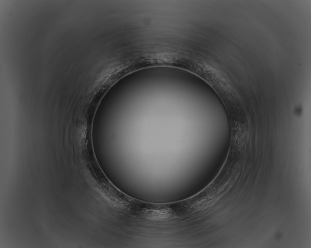X0000095680548200801151128