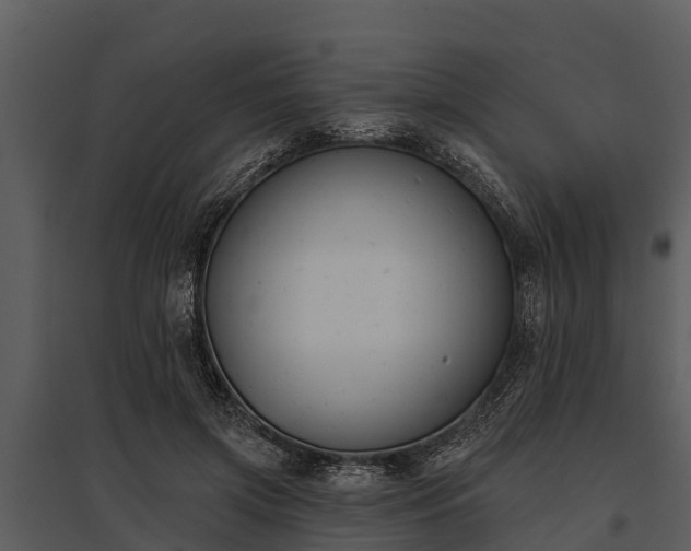 X0000095680549200801151128