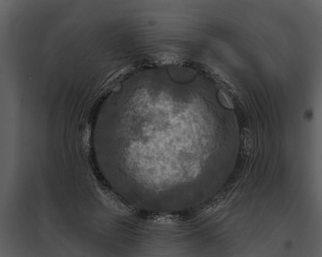 X0000095680550200801151128