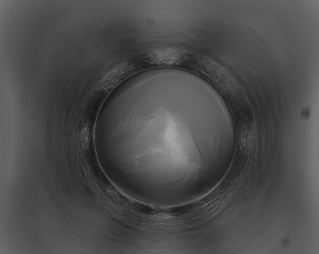 X0000095680551200801151128