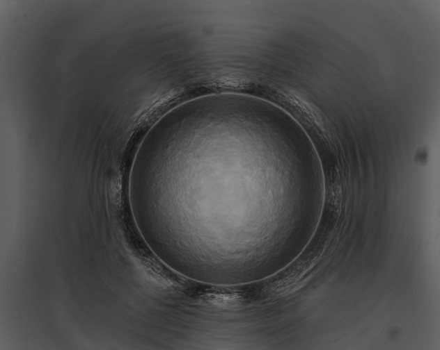 X0000095680552200801151128