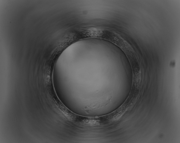 X0000095680553200801151128