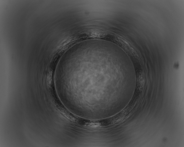 X0000095680554200801151128