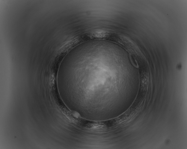 X0000095680555200801151128