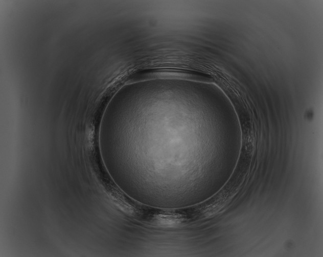 X0000095680556200801151128