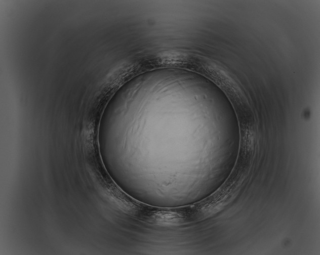 X0000095680557200801151128