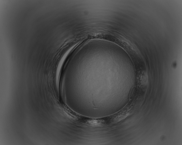 X0000095680558200801151128