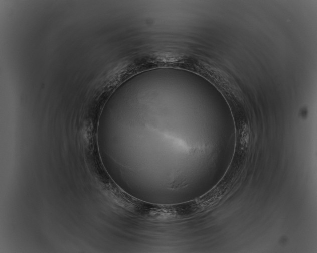 X0000095680559200801151128