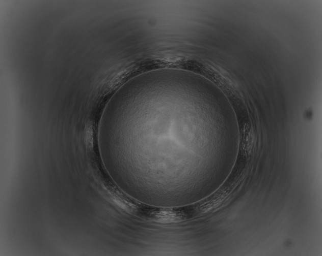 X0000095680562200801151128