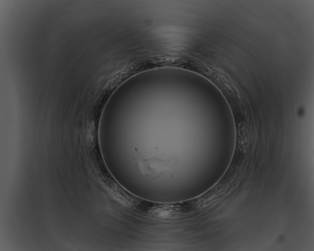 X0000095680563200801151128