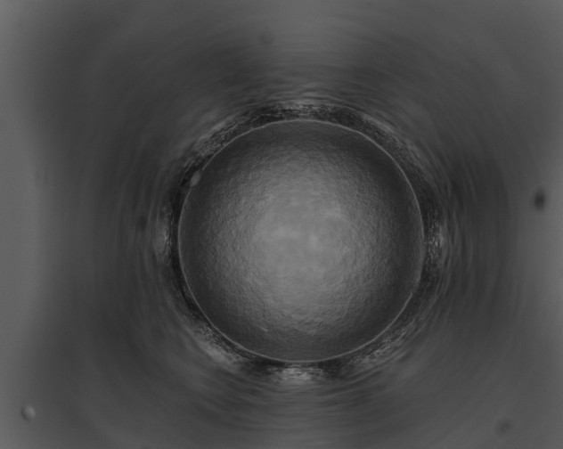X0000095680566200801151128