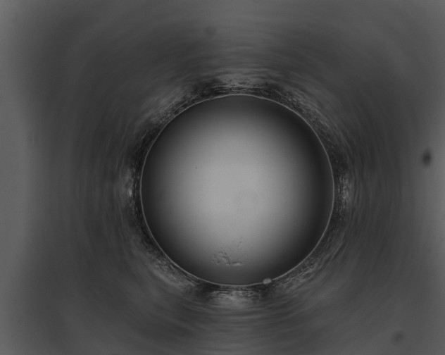 X0000095680567200801151128