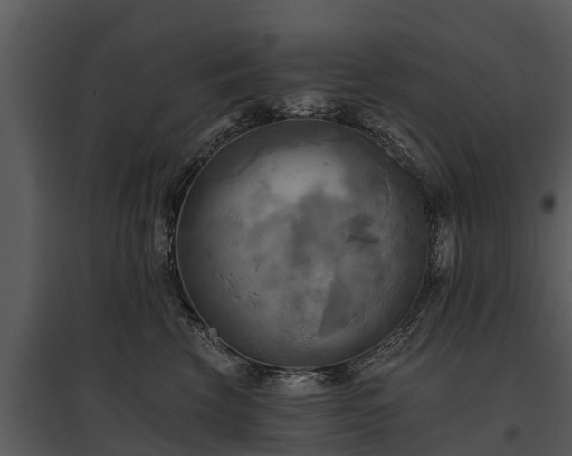 X0000095680569200801151128