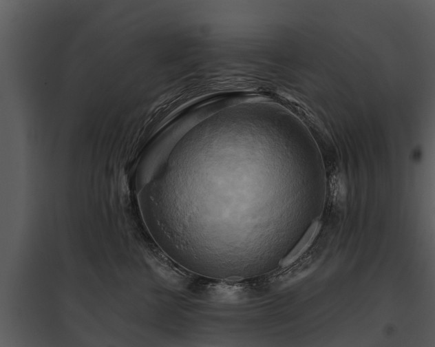 X0000095680570200801151128